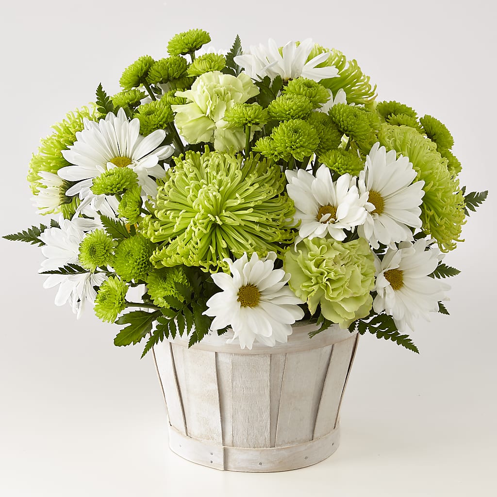 Lucky Charm Basket (Standard) – HELEN'S FLOWERS LLC, Radcliff KY