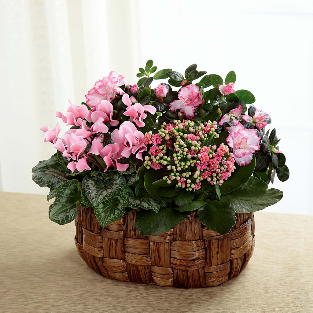 Pink Assortment – HELEN'S FLOWERS LLC, Radcliff KY