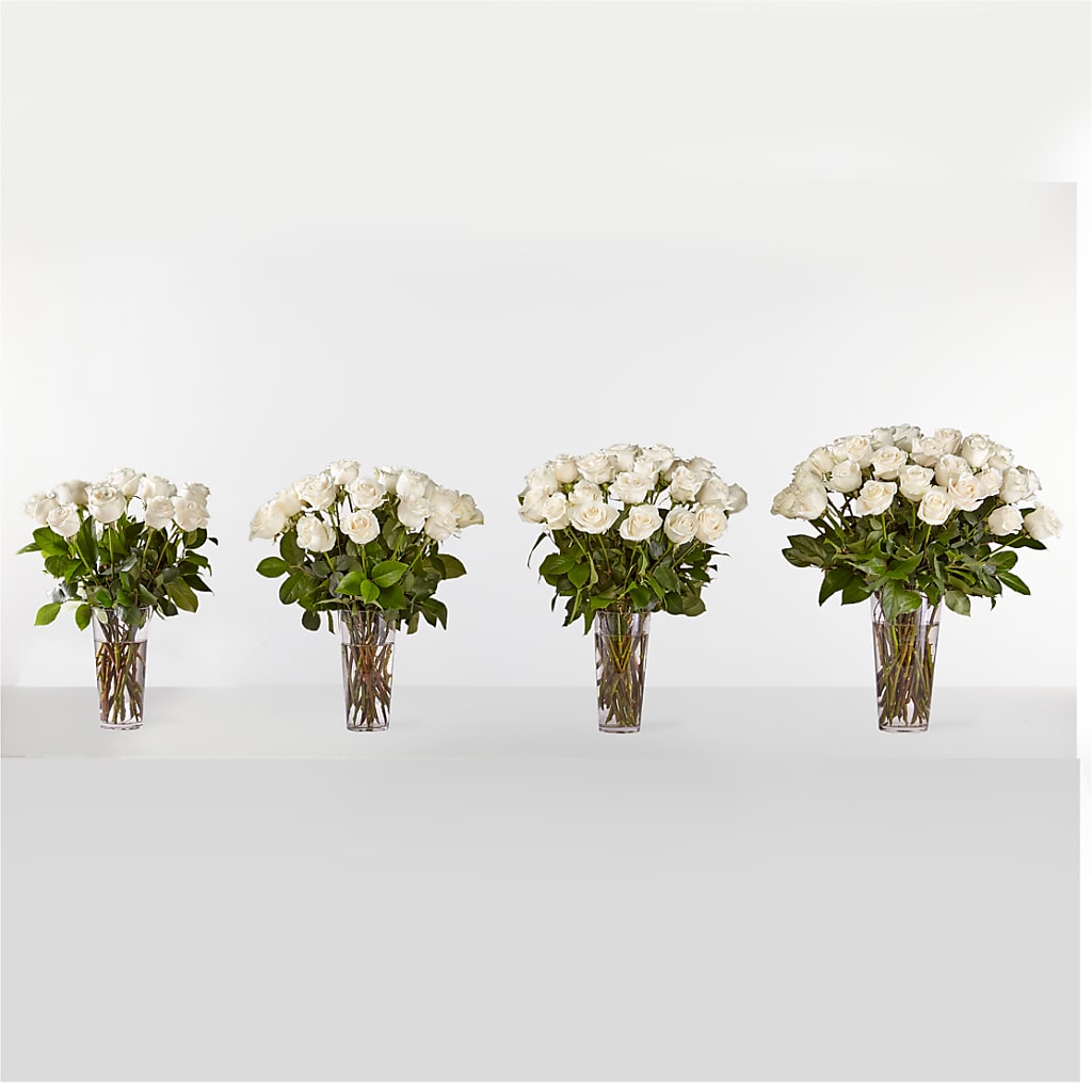 Long Stem White Rose Bouquet – HELEN'S FLOWERS LLC, Radcliff KY