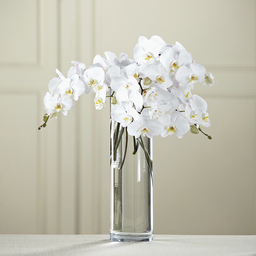 White Phalaenopsis Bouquet – HELEN'S FLOWERS LLC, Radcliff KY