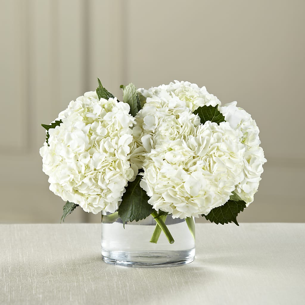 White Hydrangea Bouquet – HELEN'S FLOWERS LLC, Radcliff KY