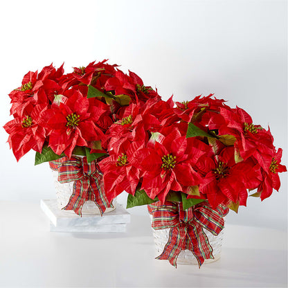 Happiest Holidays Poinsettia Bundle – HELEN'S FLOWERS LLC, Radcliff KY