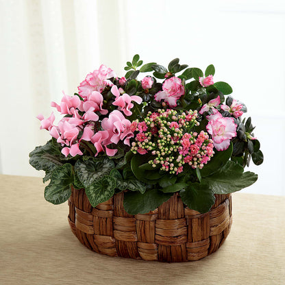 Pink Assortment – HELEN'S FLOWERS LLC, Radcliff KY