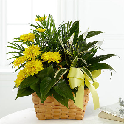 Loving Light Dishgarden – HELEN'S FLOWERS LLC, Radcliff KY