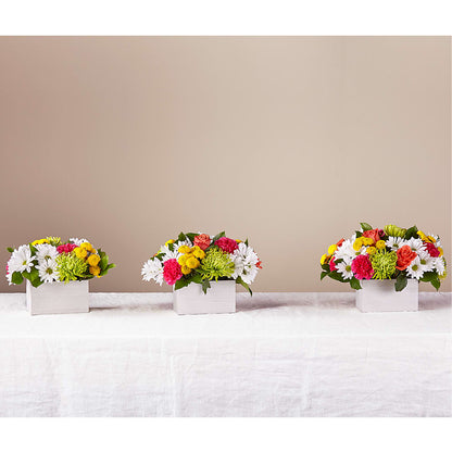 Sorbet Bouquet – HELEN'S FLOWERS LLC, Radcliff KY