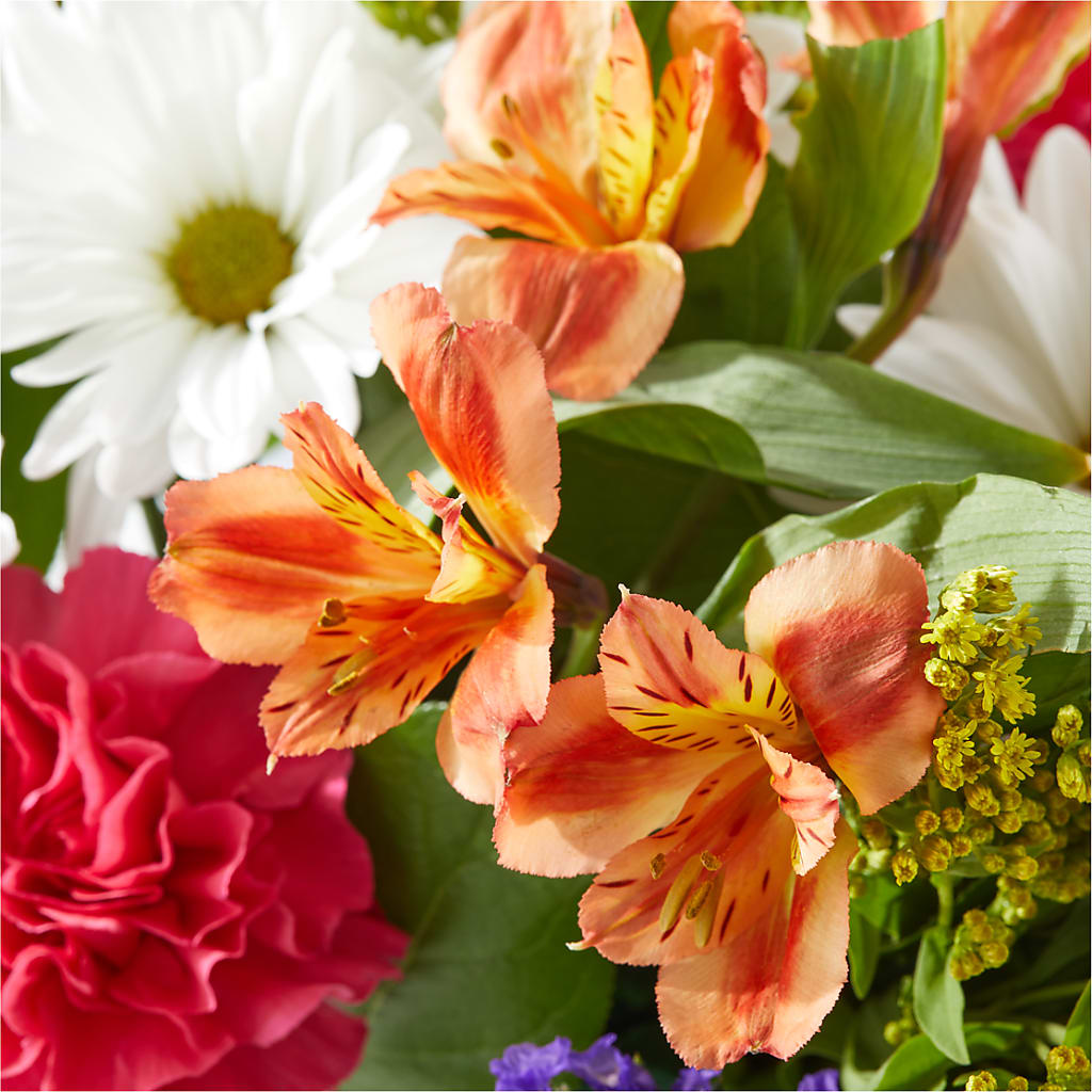 Oopsie Daisy Box Bouquet – HELEN'S FLOWERS LLC, Radcliff KY