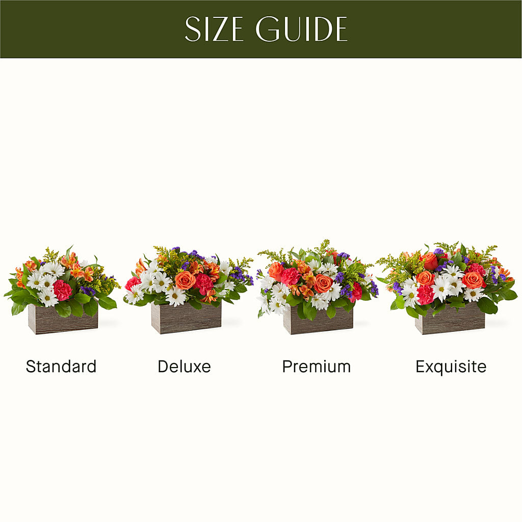 Oopsie Daisy Box Bouquet – HELEN'S FLOWERS LLC, Radcliff KY