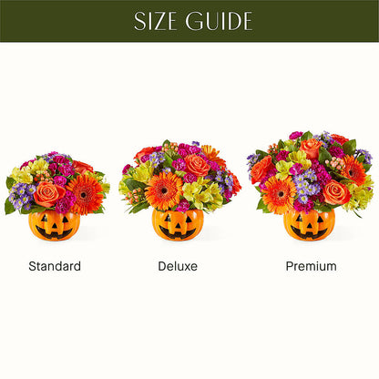 Tricks & Treats Pumpkin – HELEN'S FLOWERS LLC, Radcliff KY
