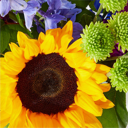 Catching Rays Bouquet – HELEN'S FLOWERS LLC, Radcliff KY
