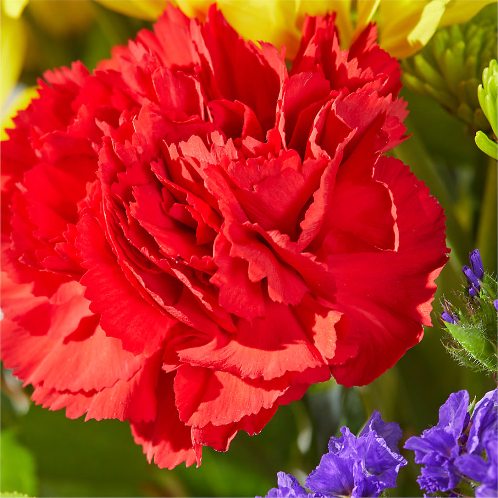 Brighter Days Bouquet – HELEN'S FLOWERS LLC, Radcliff KY