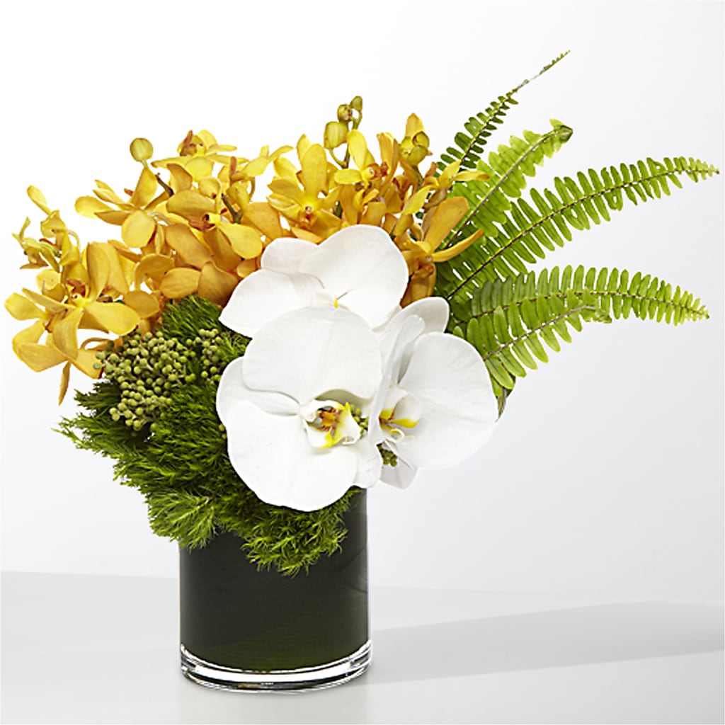 The Tropics – HELEN'S FLOWERS LLC, Radcliff KY
