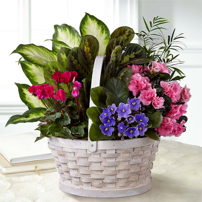 Peaceful Garden Planter – HELEN'S FLOWERS LLC, Radcliff KY