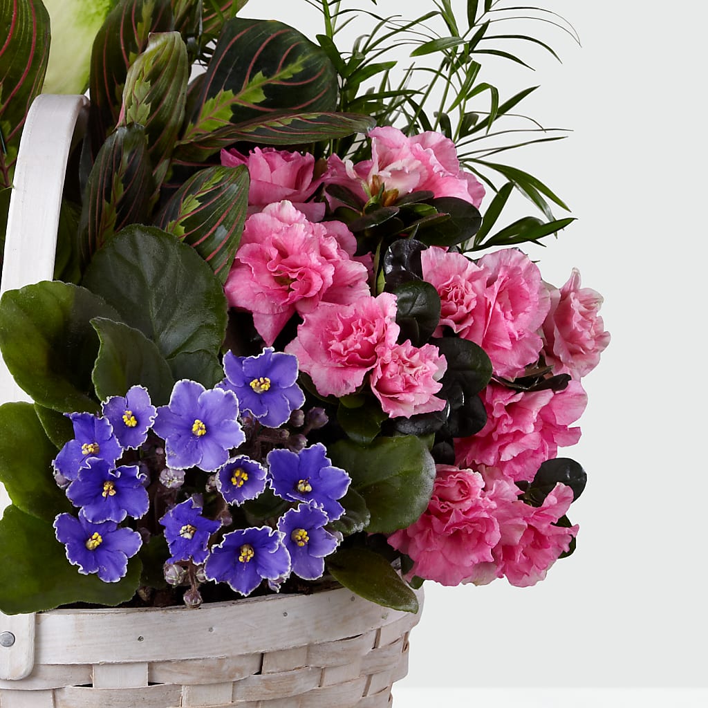 Peaceful Garden Planter – HELEN'S FLOWERS LLC, Radcliff KY