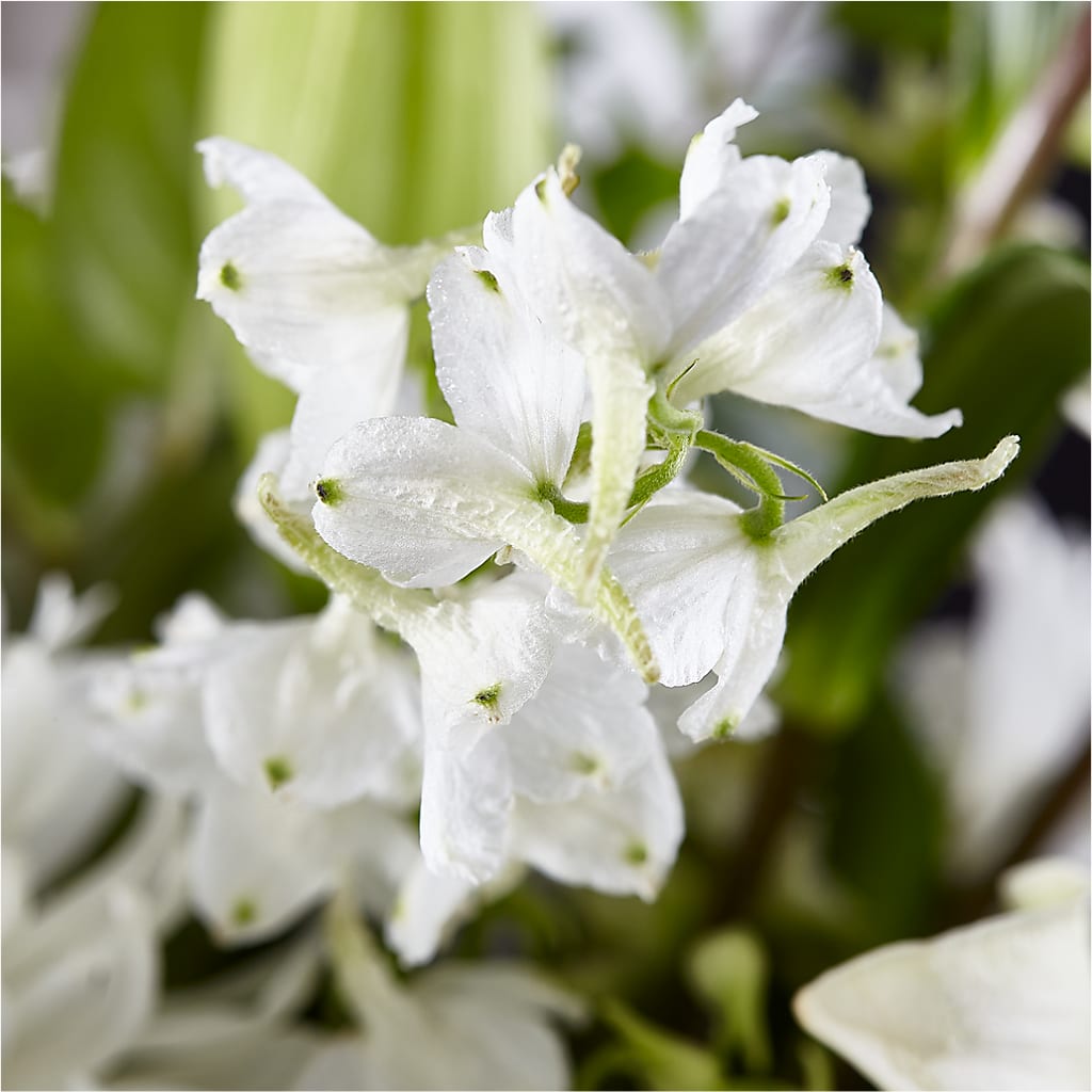 Classic Ivory – A Florist Original – HELEN'S FLOWERS LLC, Radcliff KY