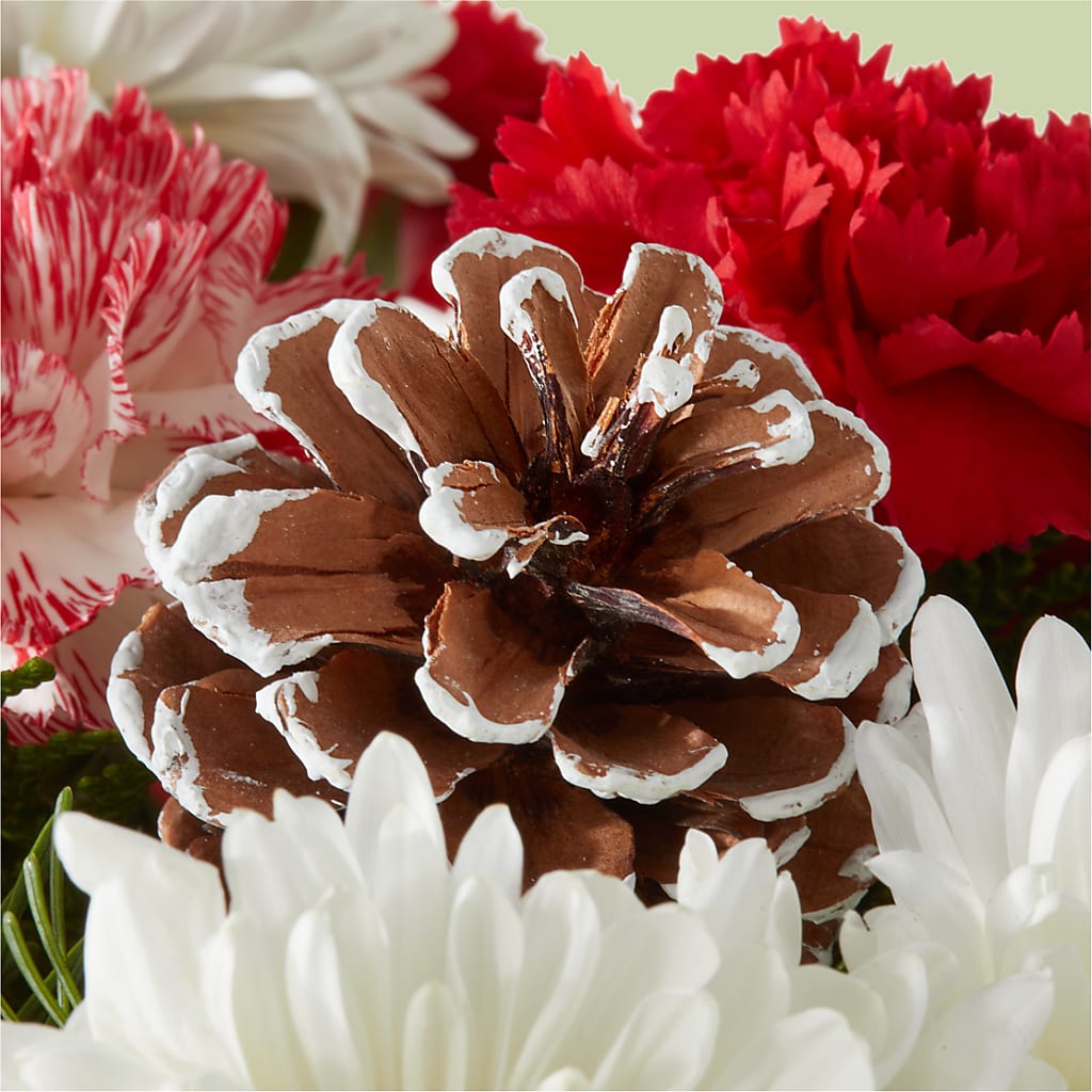 Candy Cane Lane Bouquet – HELEN'S FLOWERS LLC, Radcliff KY