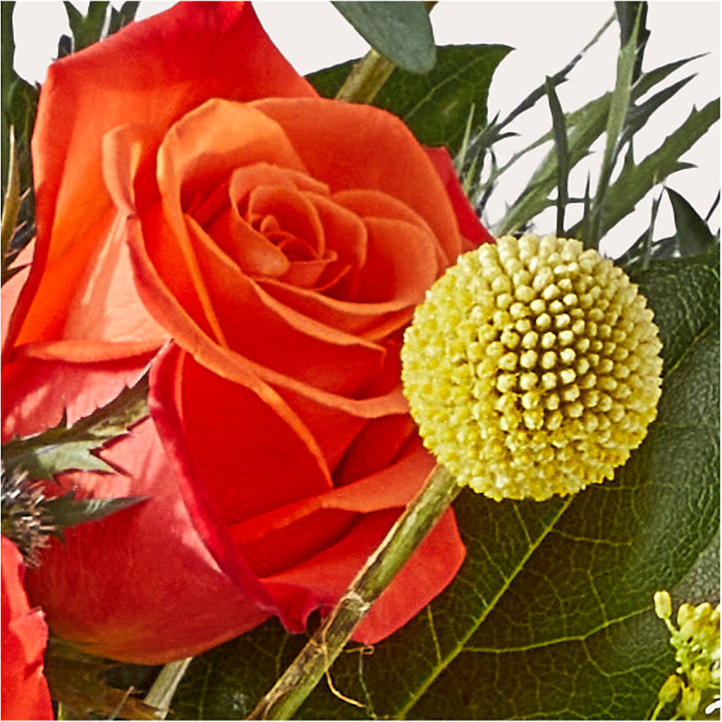 Disco Bouquet – HELEN'S FLOWERS LLC, Radcliff KY