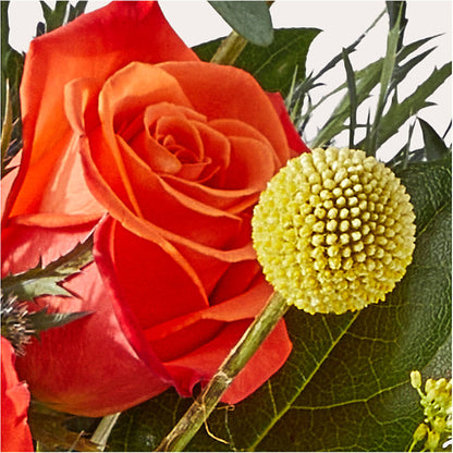 Disco Bouquet – HELEN'S FLOWERS LLC, Radcliff KY