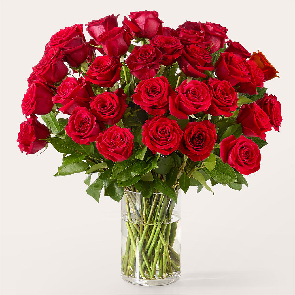 The One Red Rose Bouquet – HELEN'S FLOWERS LLC, Radcliff KY