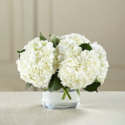 White Hydrangea Bouquet – HELEN'S FLOWERS LLC, Radcliff KY